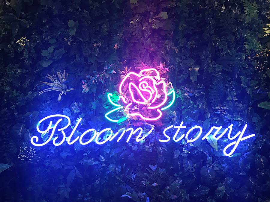 Bloom story