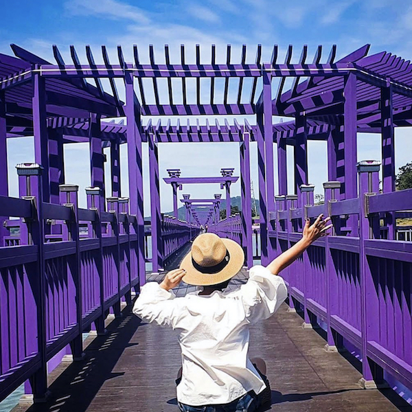 韓国の国内旅行として人気急上昇中！！インスタ映えすぎる『紫の島』とは？？
